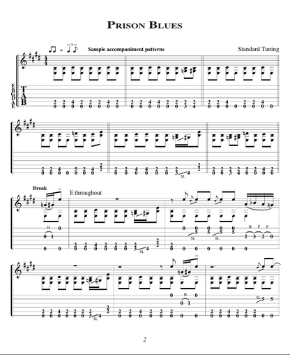 Hans Theessink: Blues Guitar Masterclass